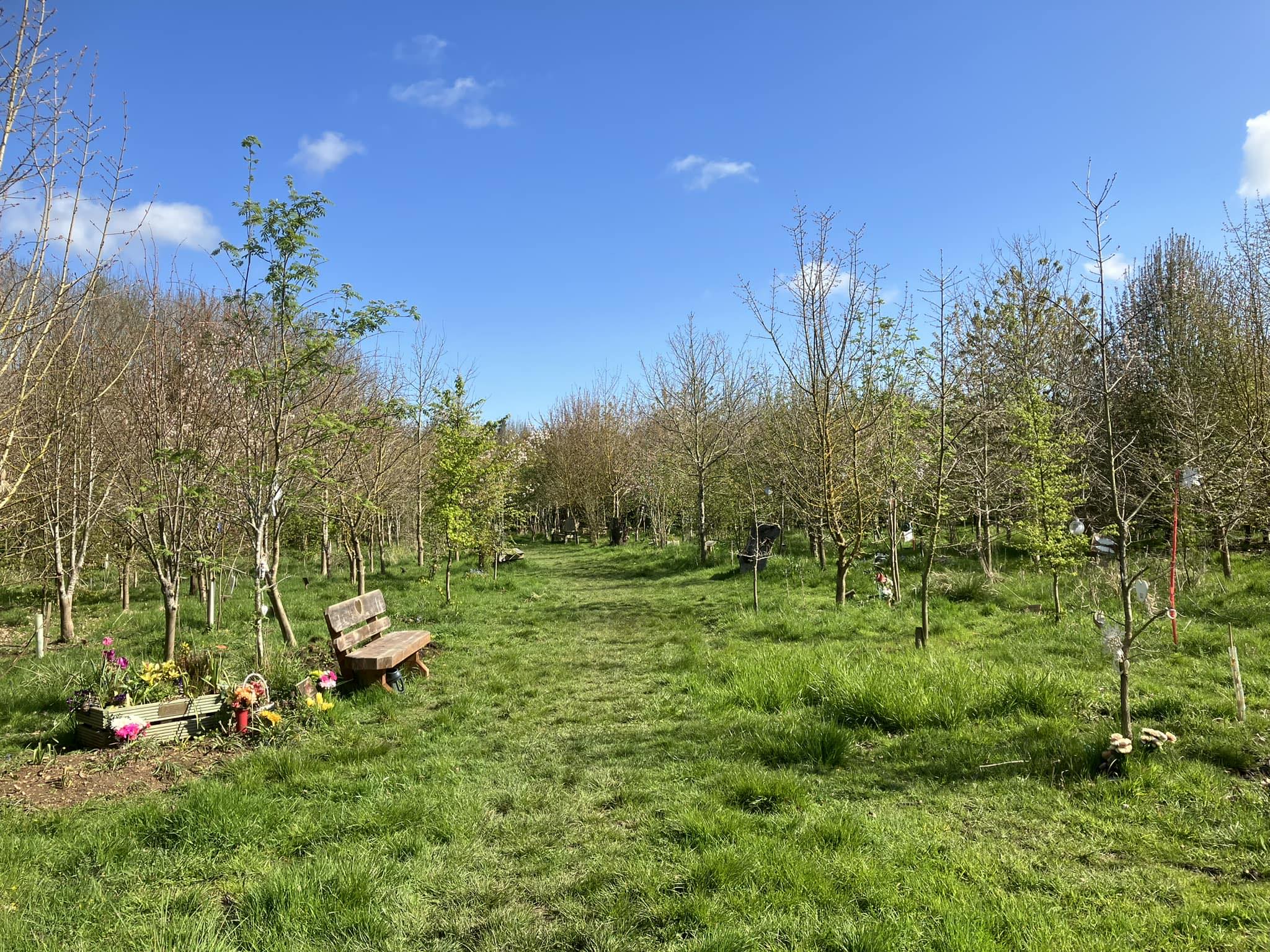 Natural burial area at Longholt Wood